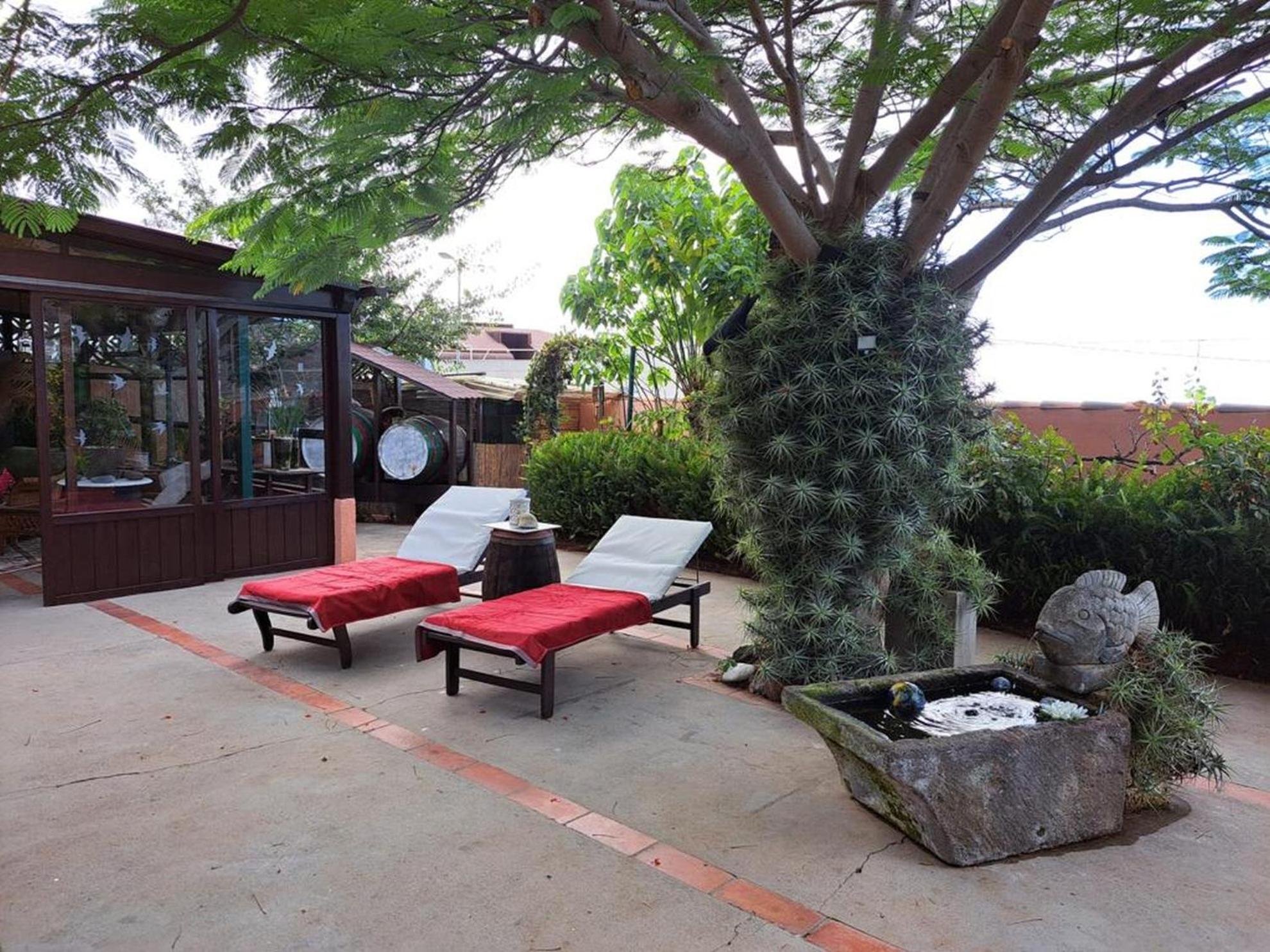 Finca Cebollino