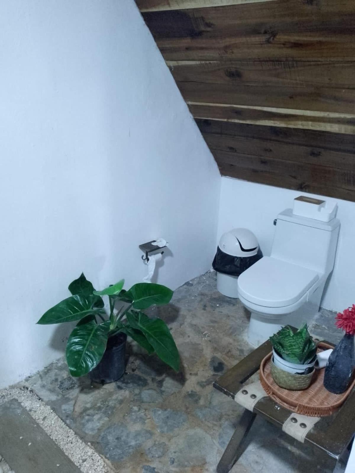 Dreamvilles Ecovillage Eco Villas with Jacuzzi near Beaches