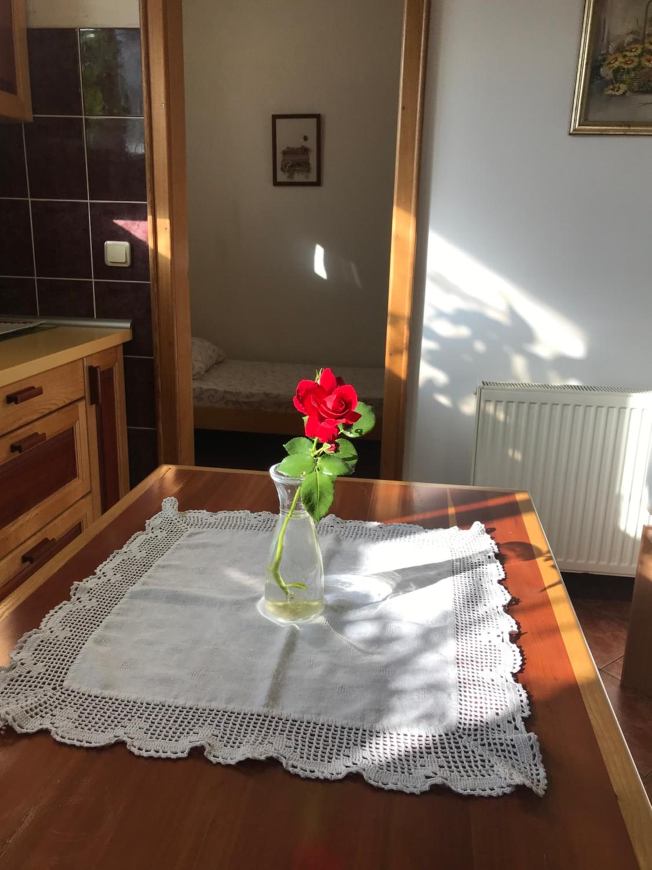 Garden's apartman - Kosjerić view 5