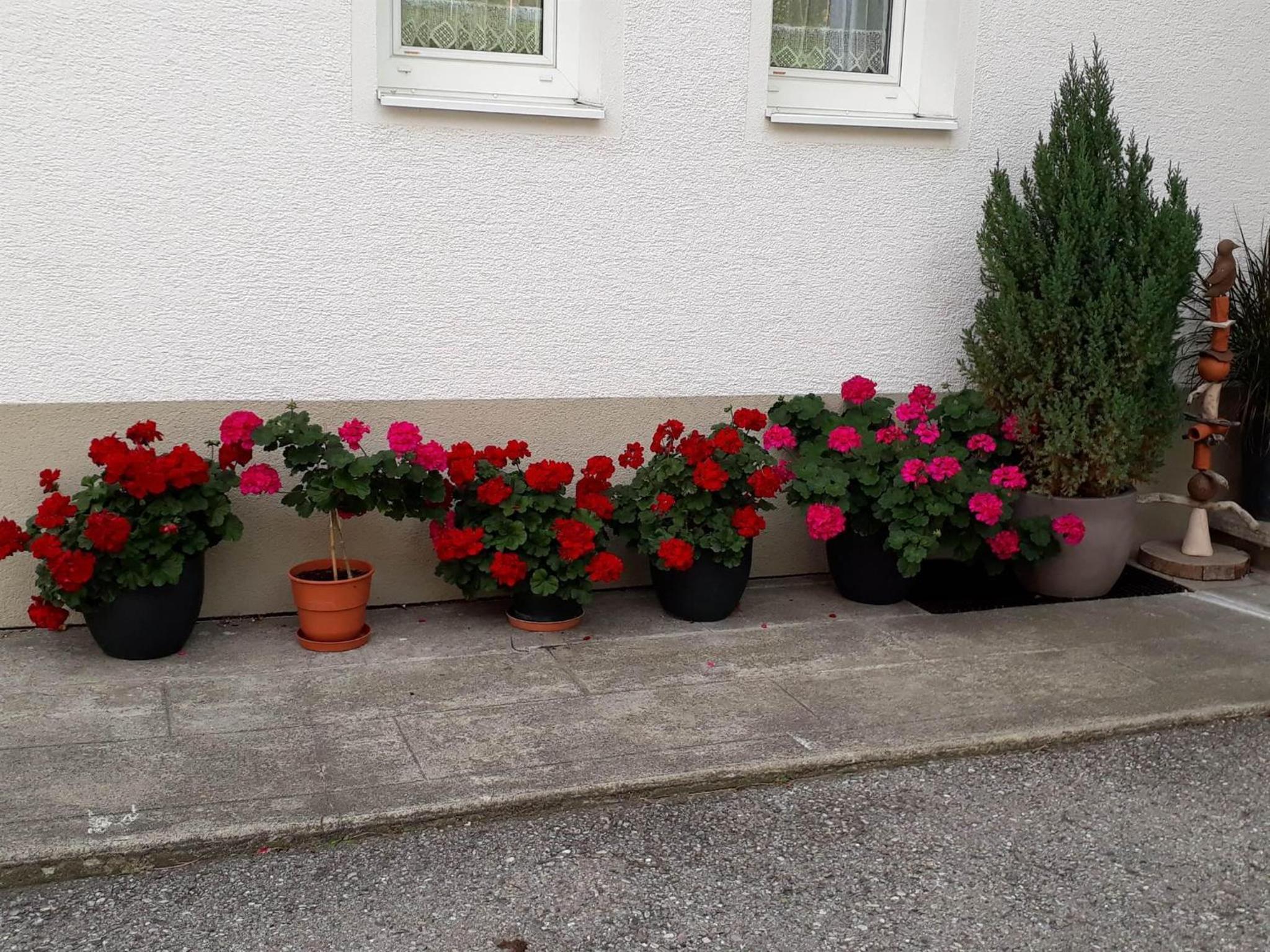 Haus Vallaster