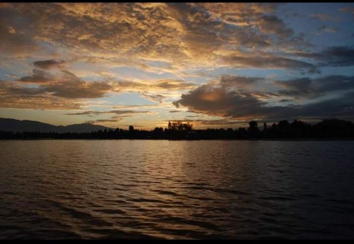 Photo 33
