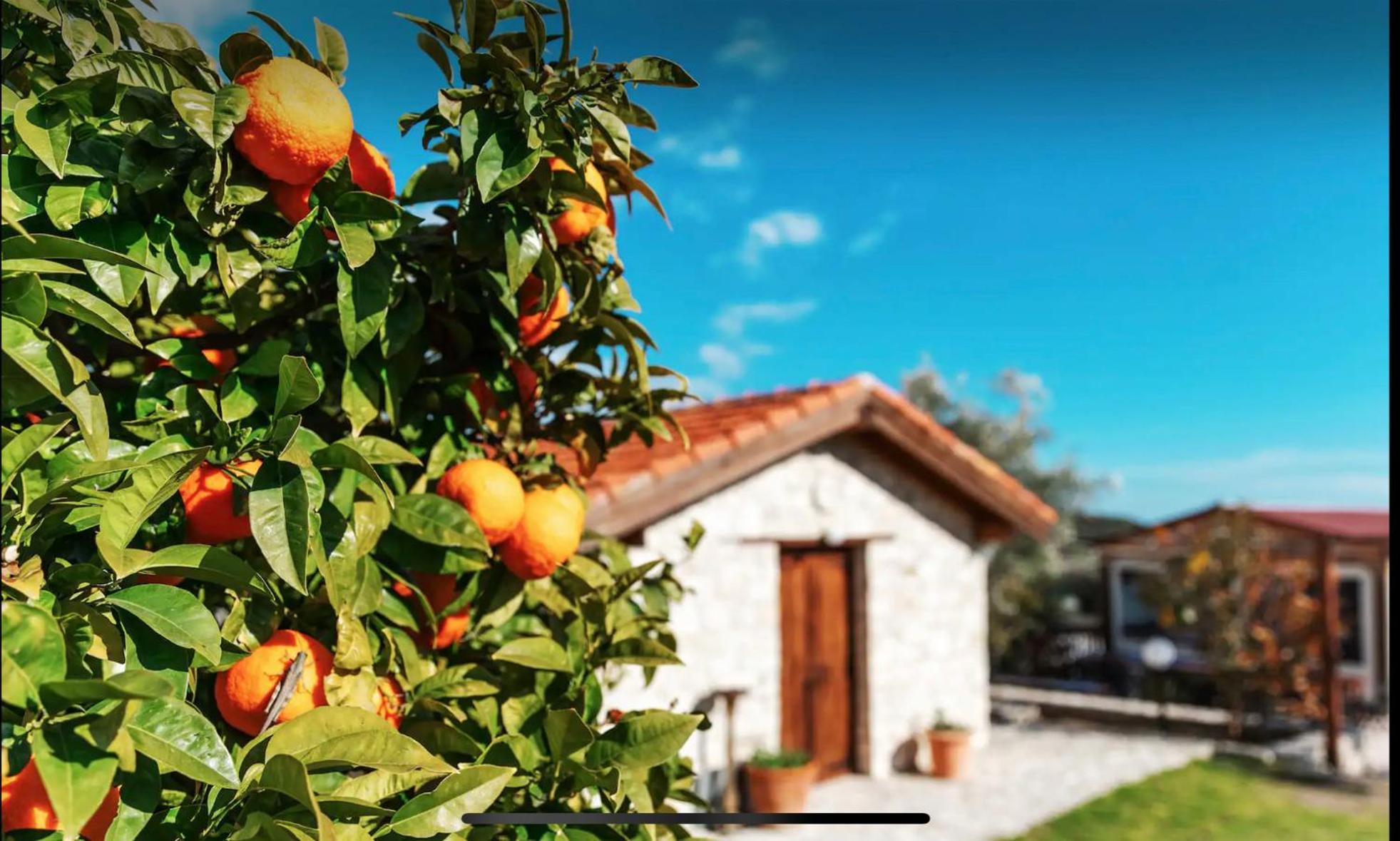 New cozy Villa near the beaches in the Magnificent Gardens of Regina with swimming pools!