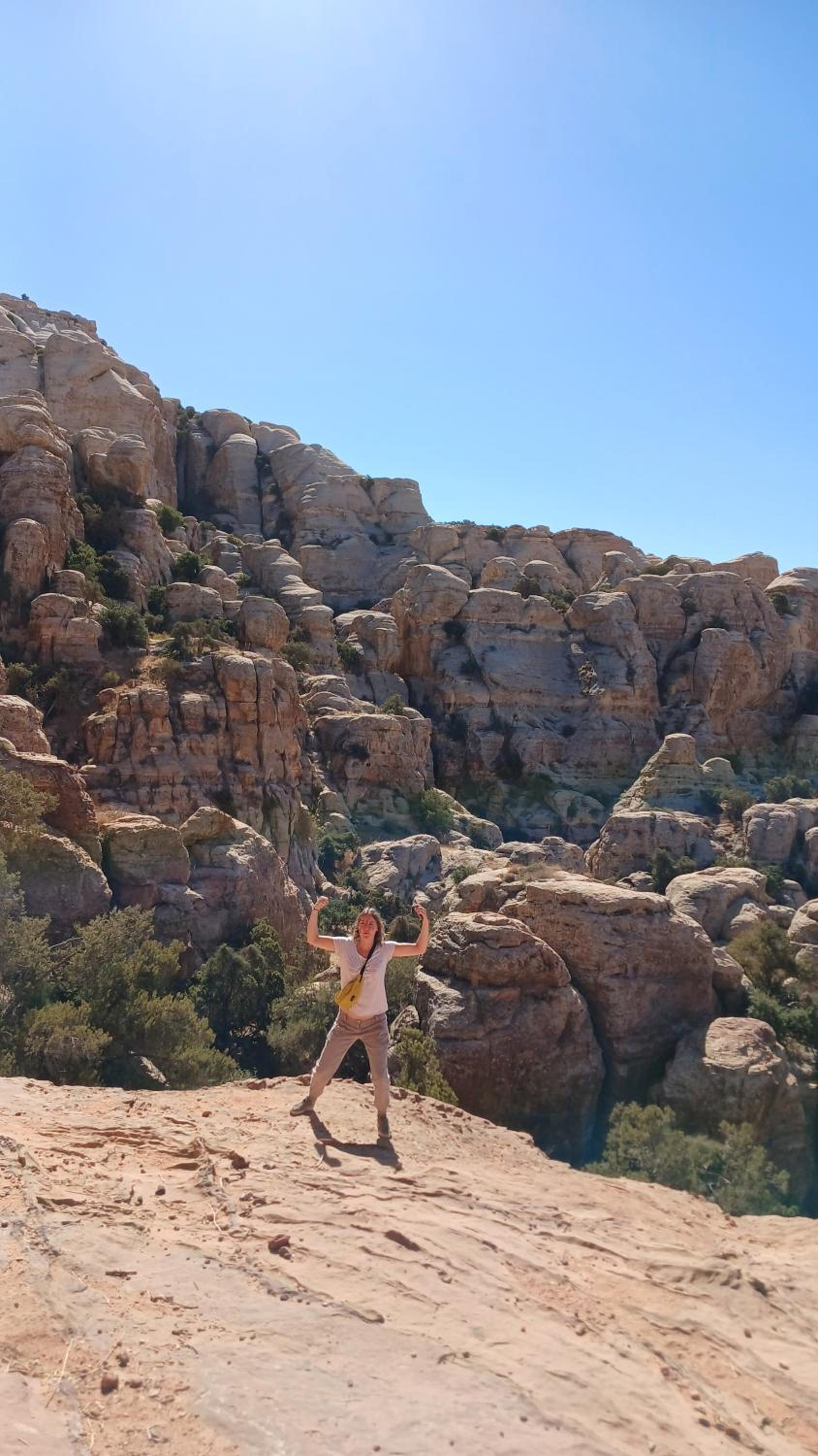 Dana historic village