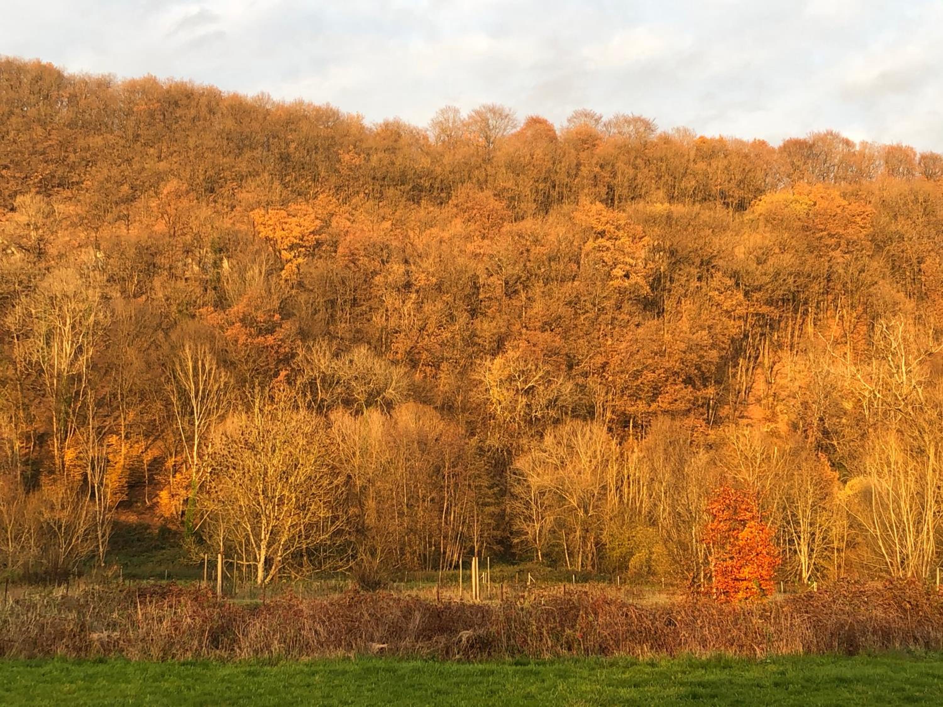 La Boutique Naturelle