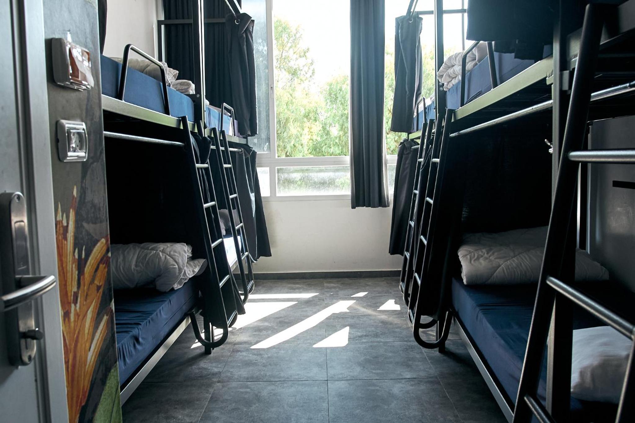 Jungle Jaffa Hostel Age 18 to 45 view 5
