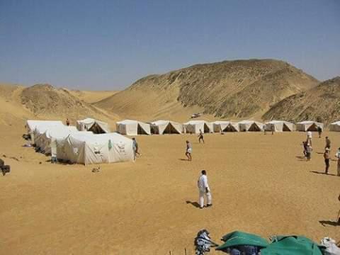 White Desert Safari