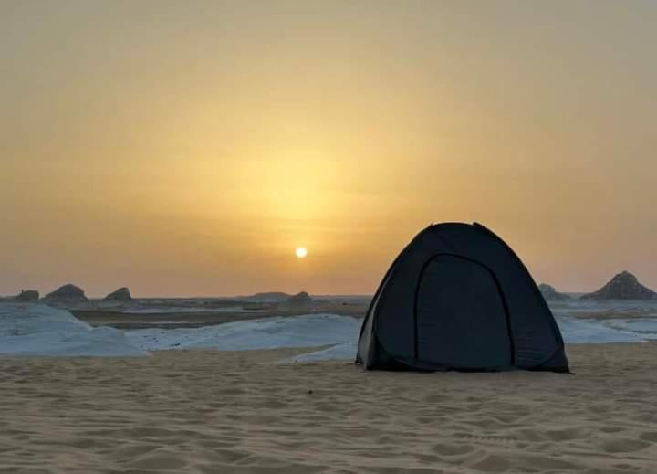White Desert Safari