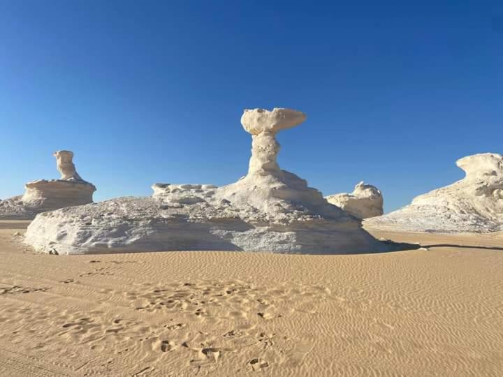 White Desert Safari