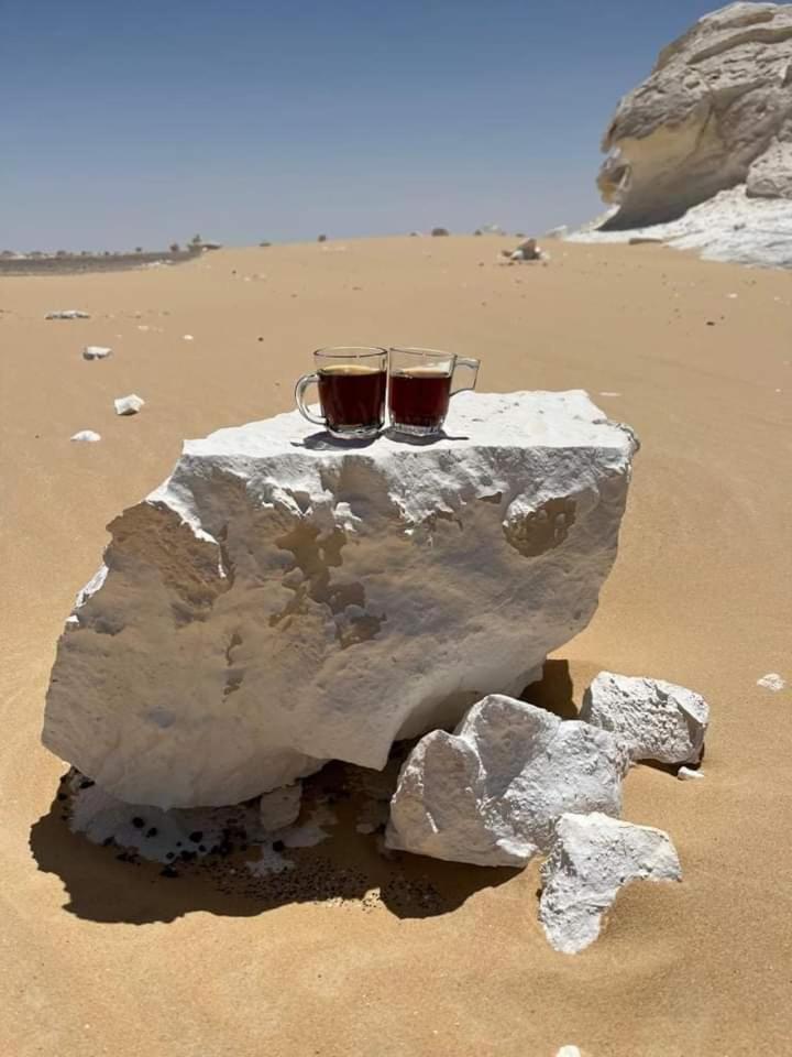 White Desert Safari