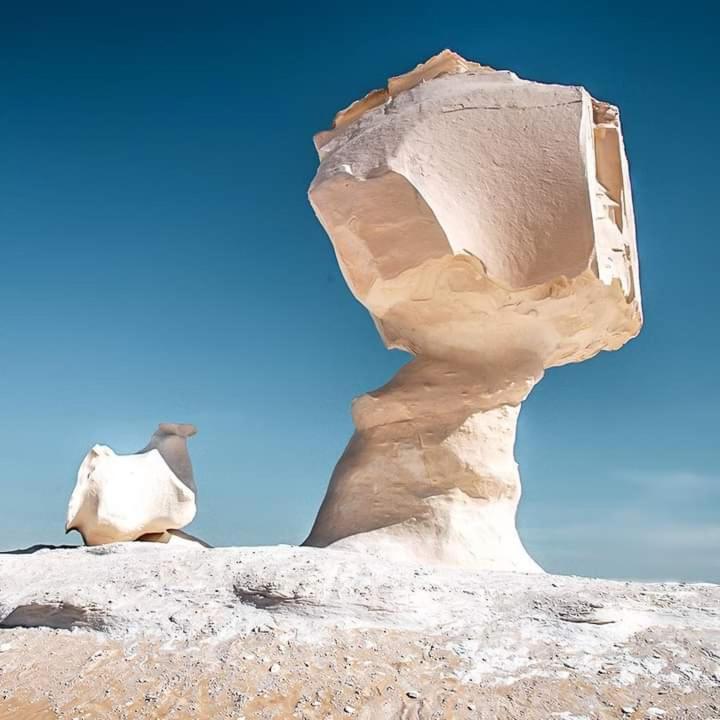 White Desert Safari