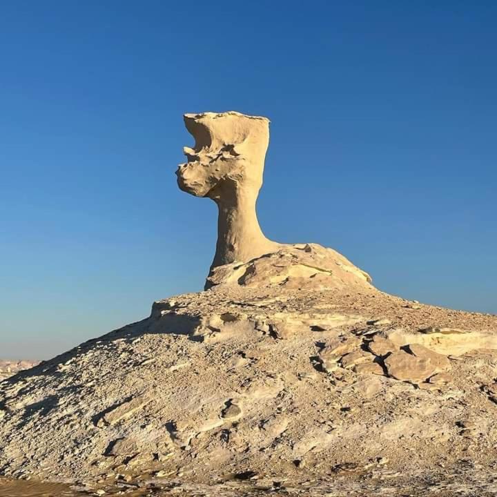 White Desert Safari