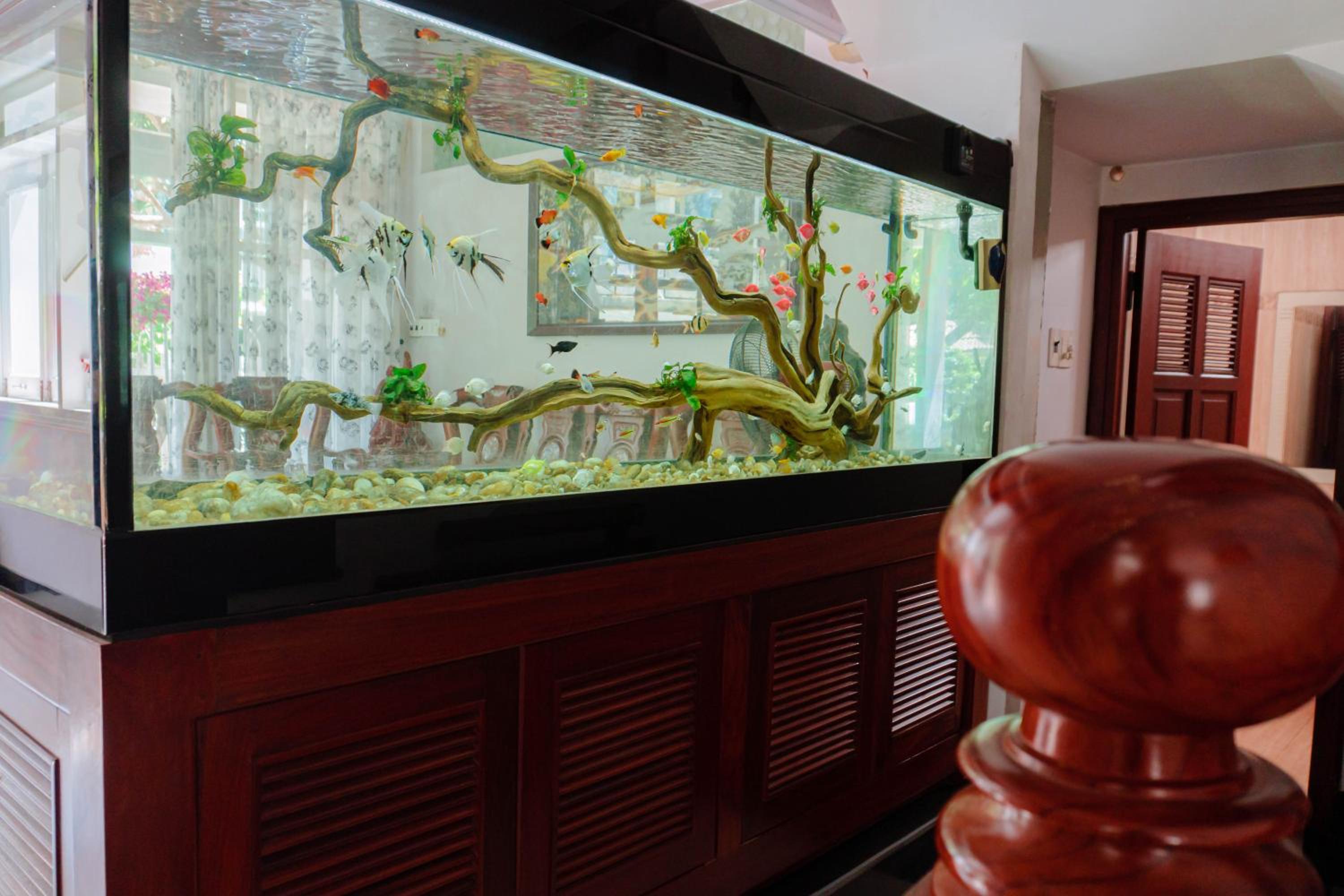 Homestay King Villa Phú Yên view 2