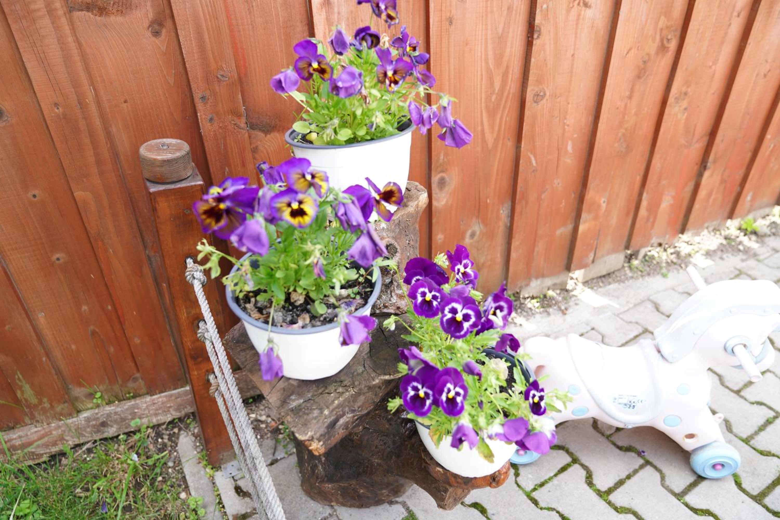 Photo 34