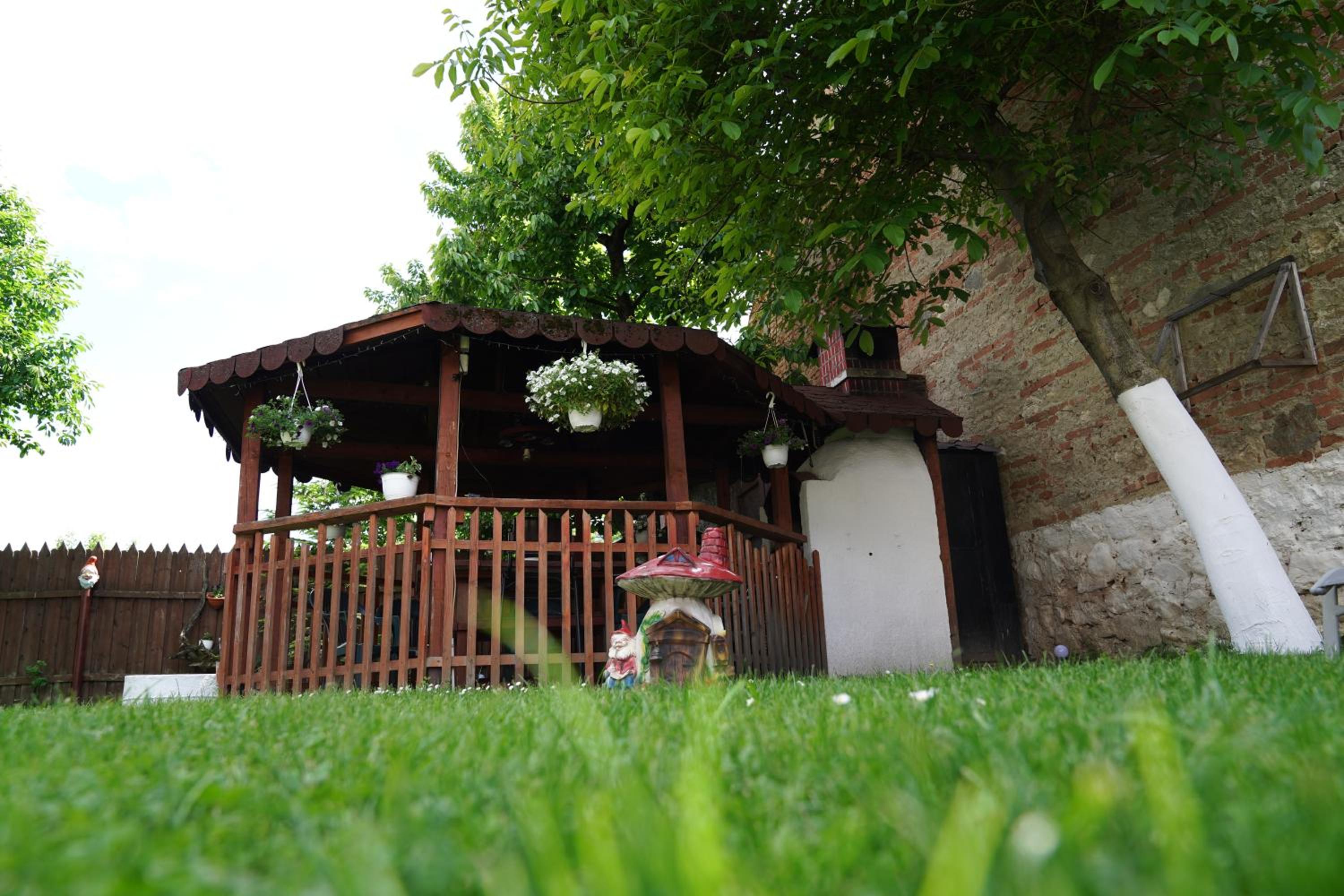 Photo 40