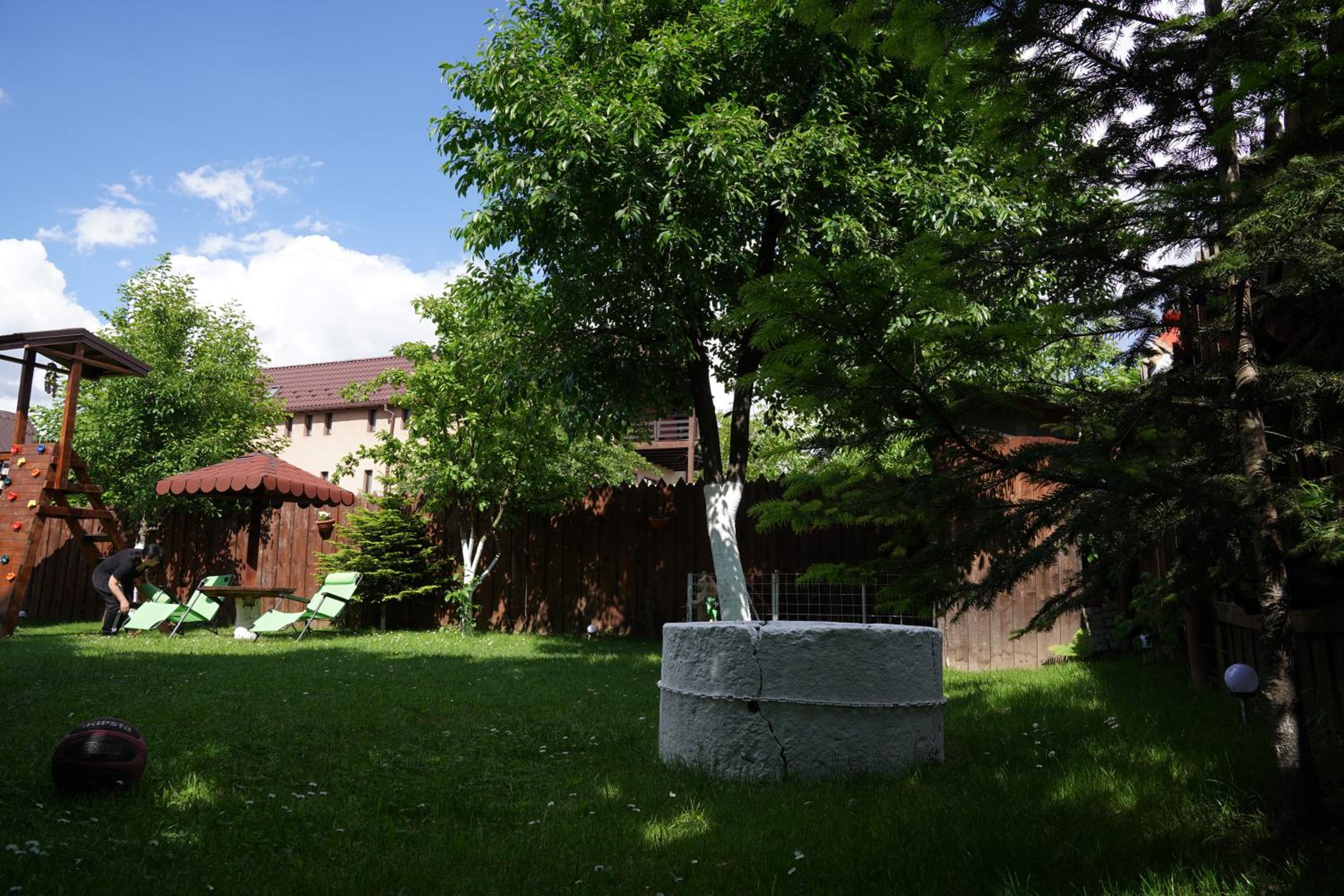 Photo 45