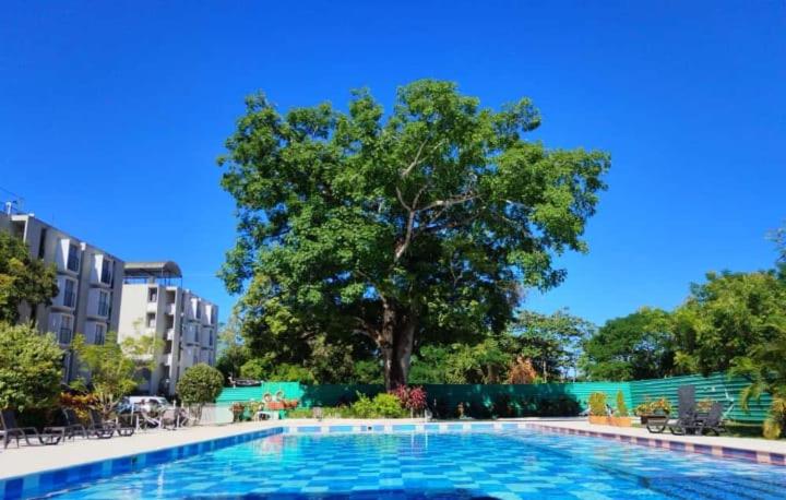 Hotel APARTAMENTO MELGAR - ALTAGRACIA - Image 1