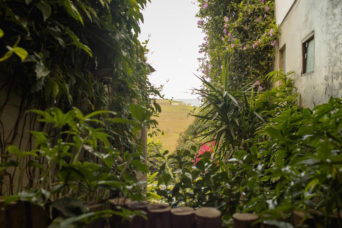 Orquídea Café