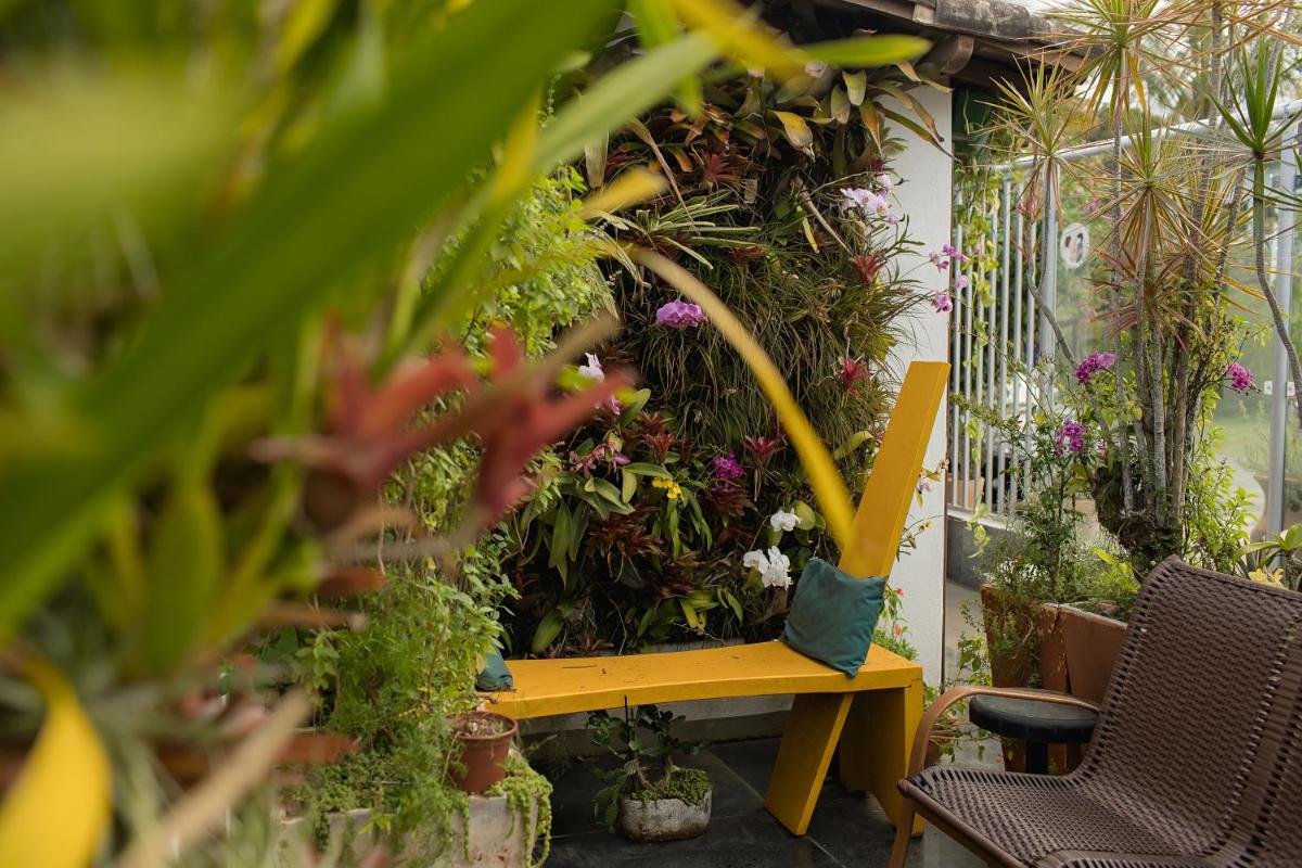 Orquídea Café