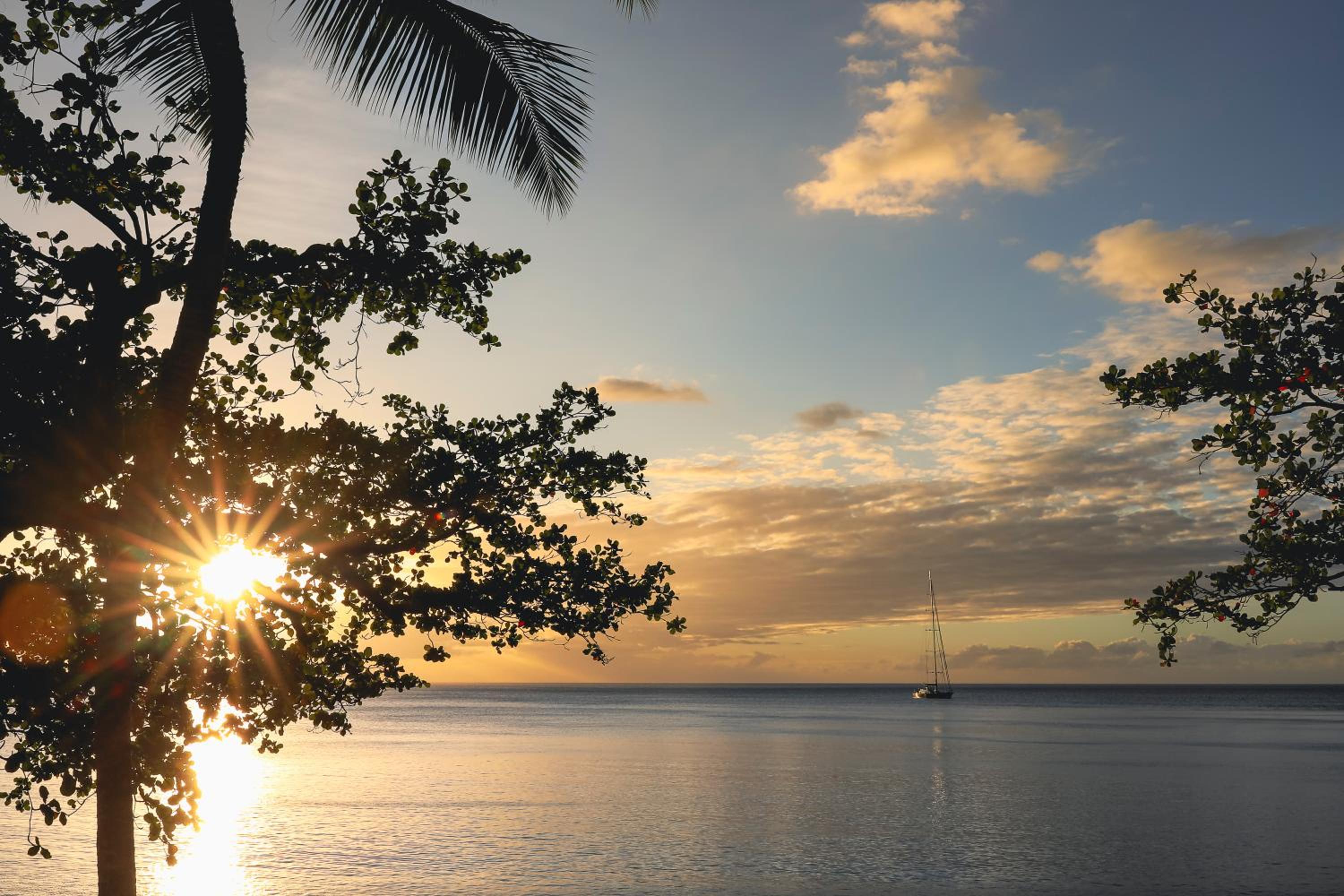 Tahiti Pearl Beach Resort photo 33 of 104