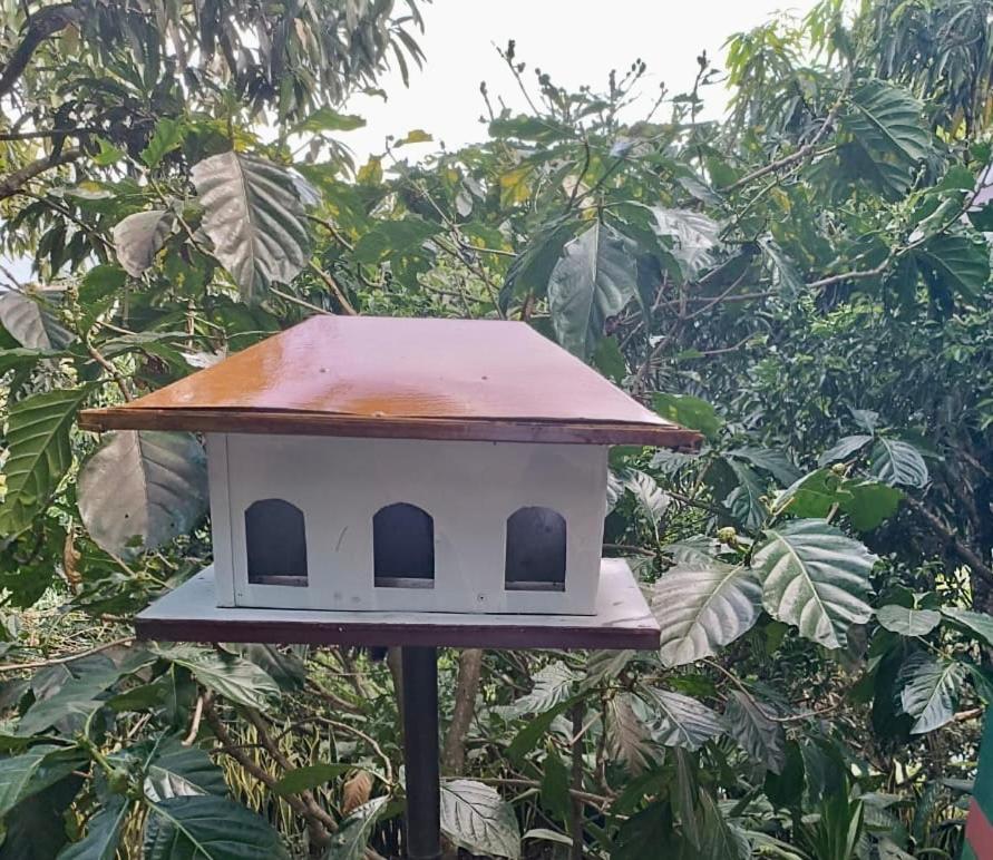 Cabaña El Mirador - La Mesa