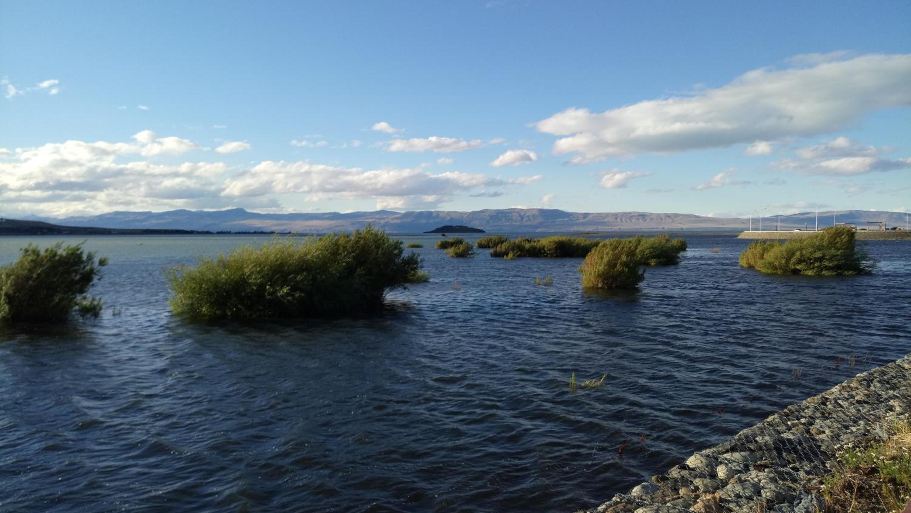 Hostel Aves del Lago
