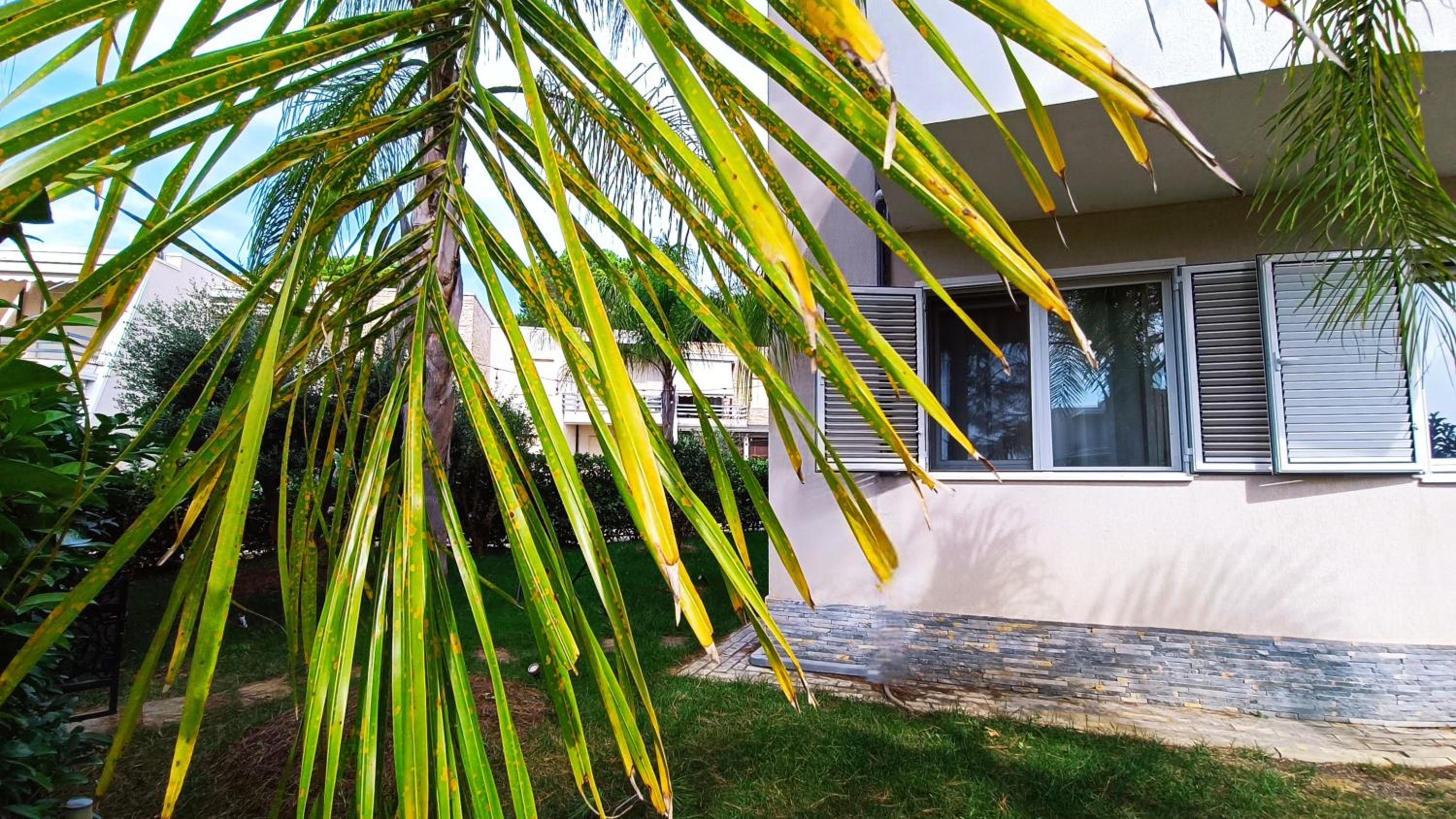 Villa Sunshine