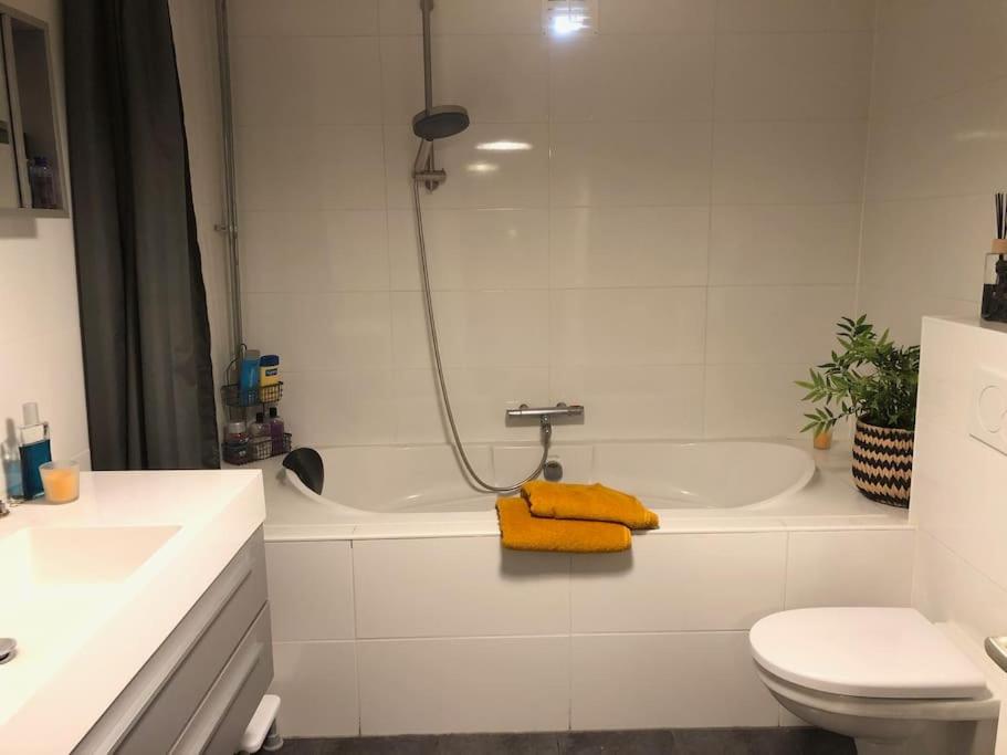 Sfeervol loft in Koudum view 4
