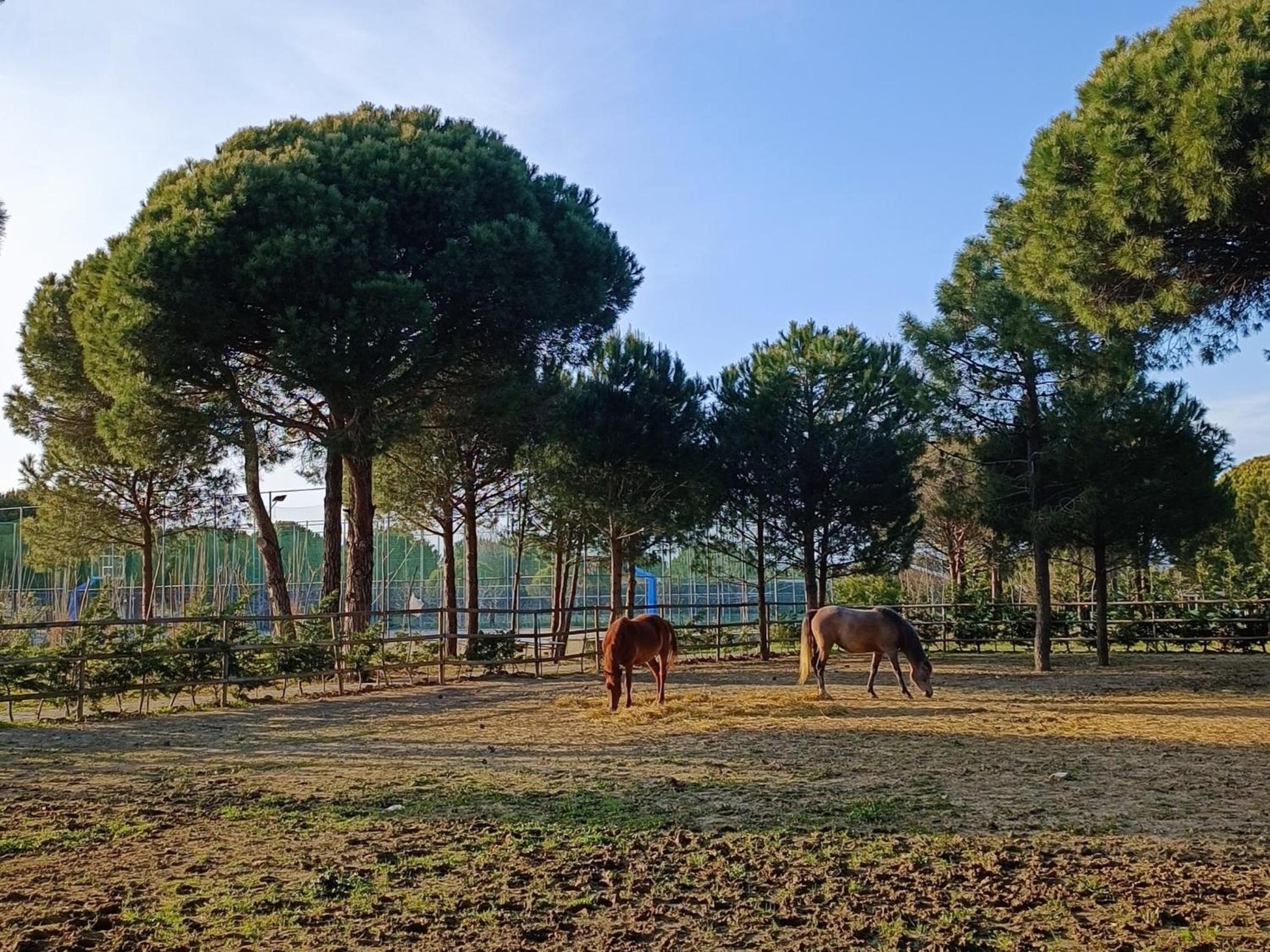 Villa Sunshine