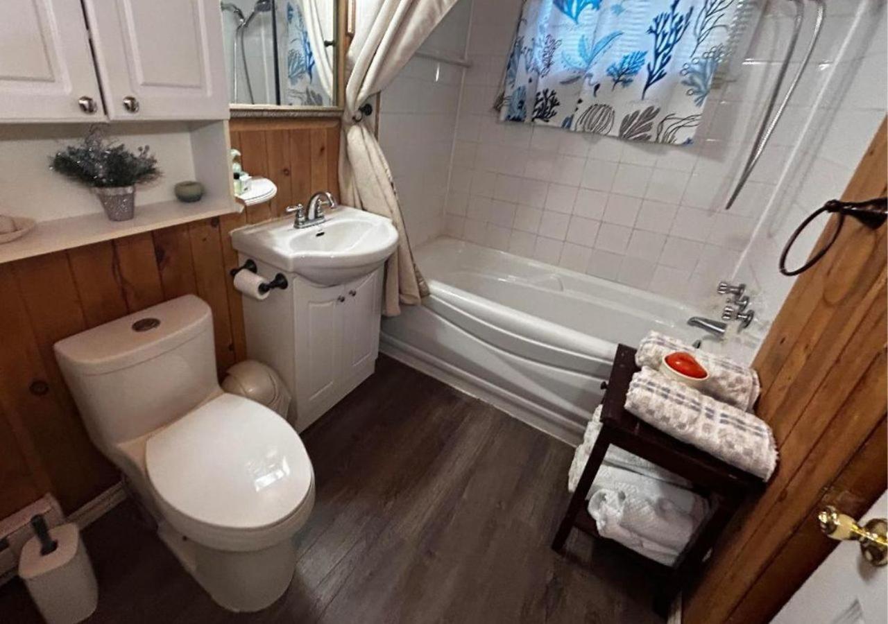 Le Chalet de Nany With WIFI- NETFLIX- VIEW