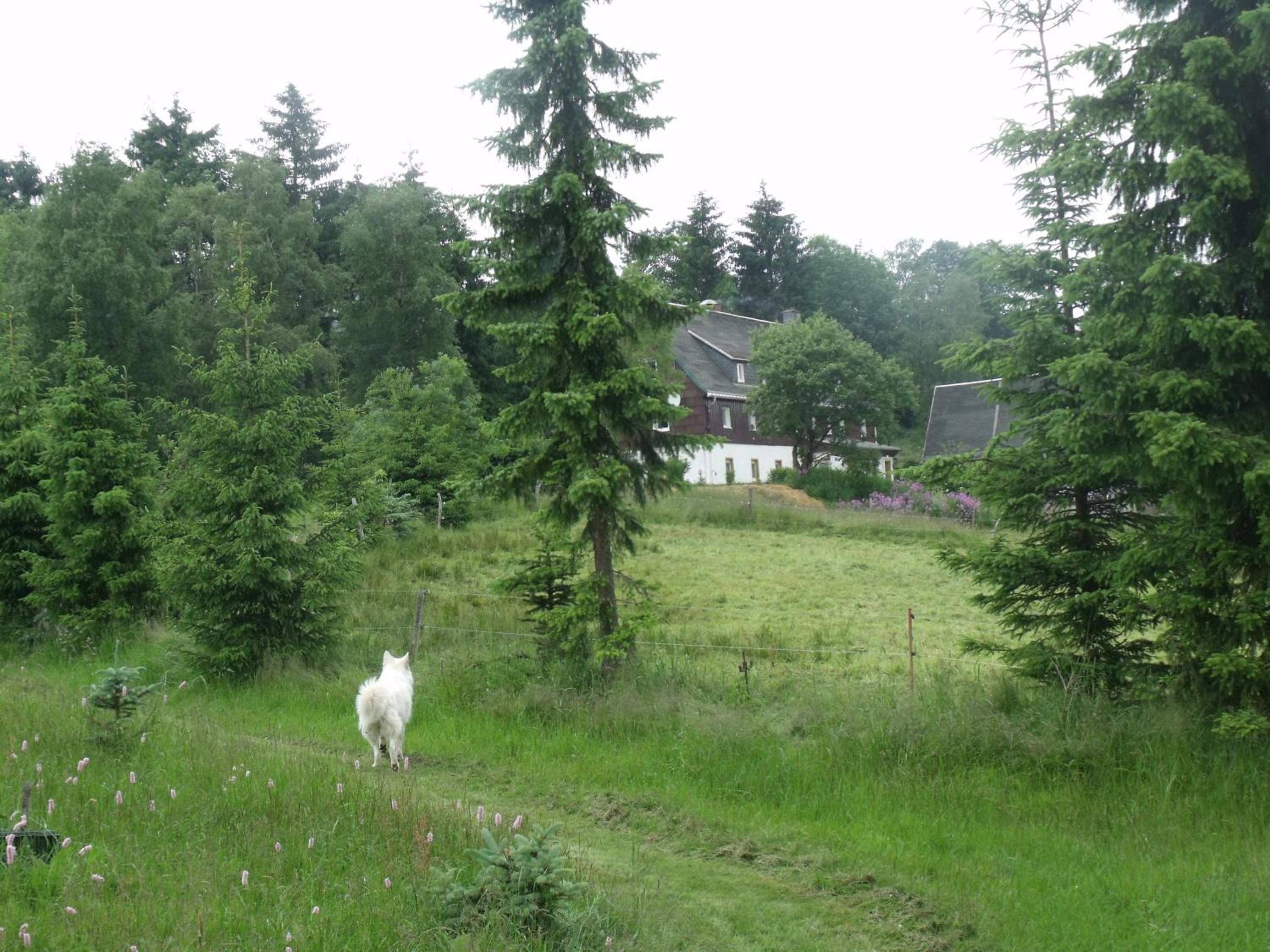 Pension Haus Pentacon