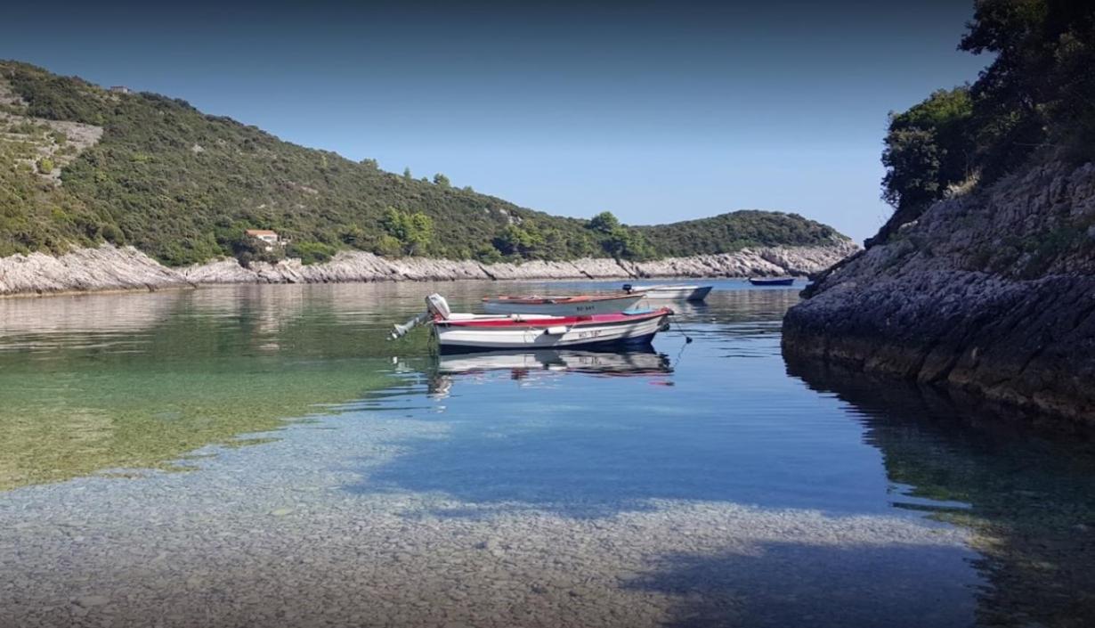 Apartmani Šegedin