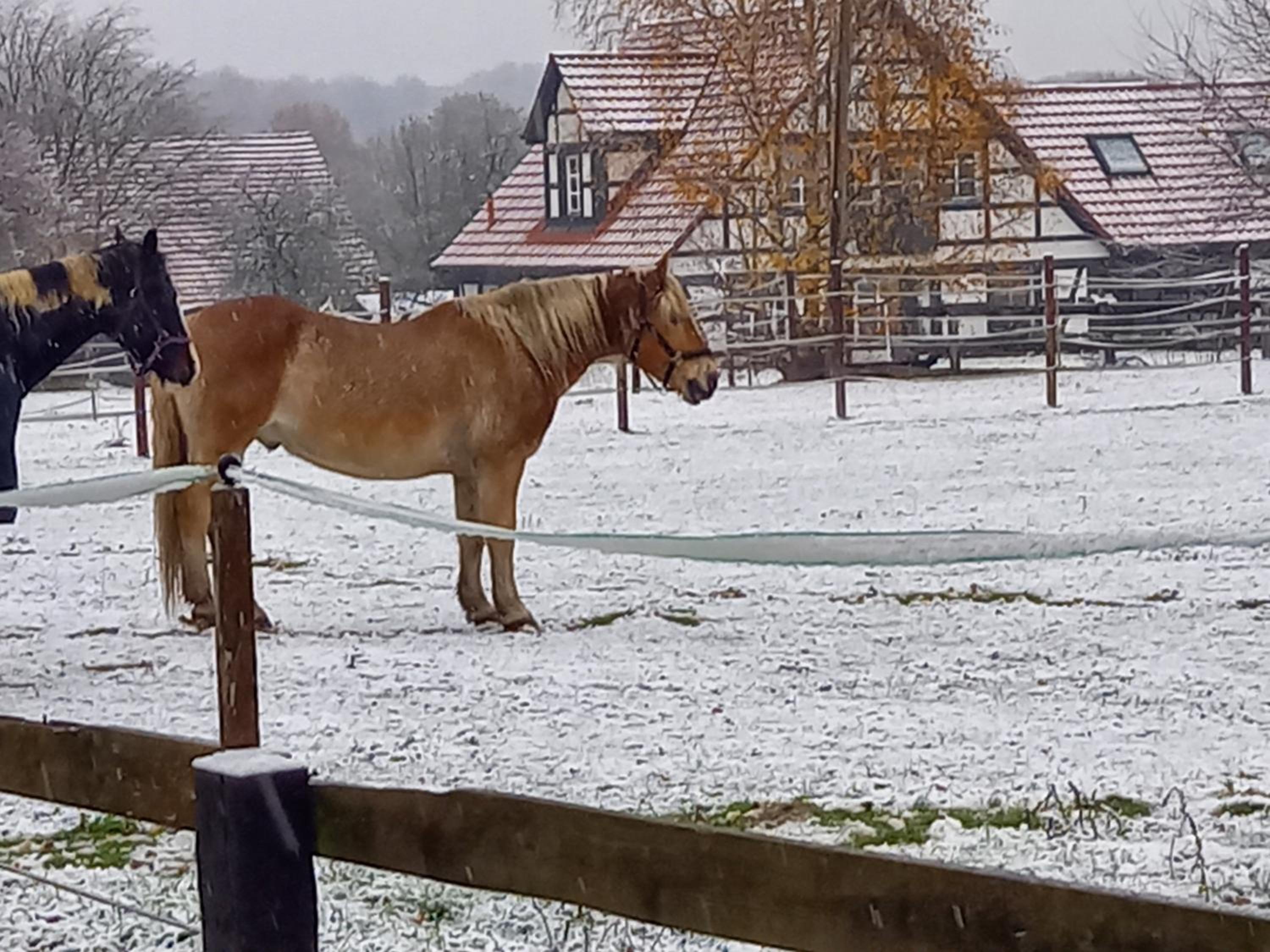 Landidylle mit Garten, Whirlpool und Klima