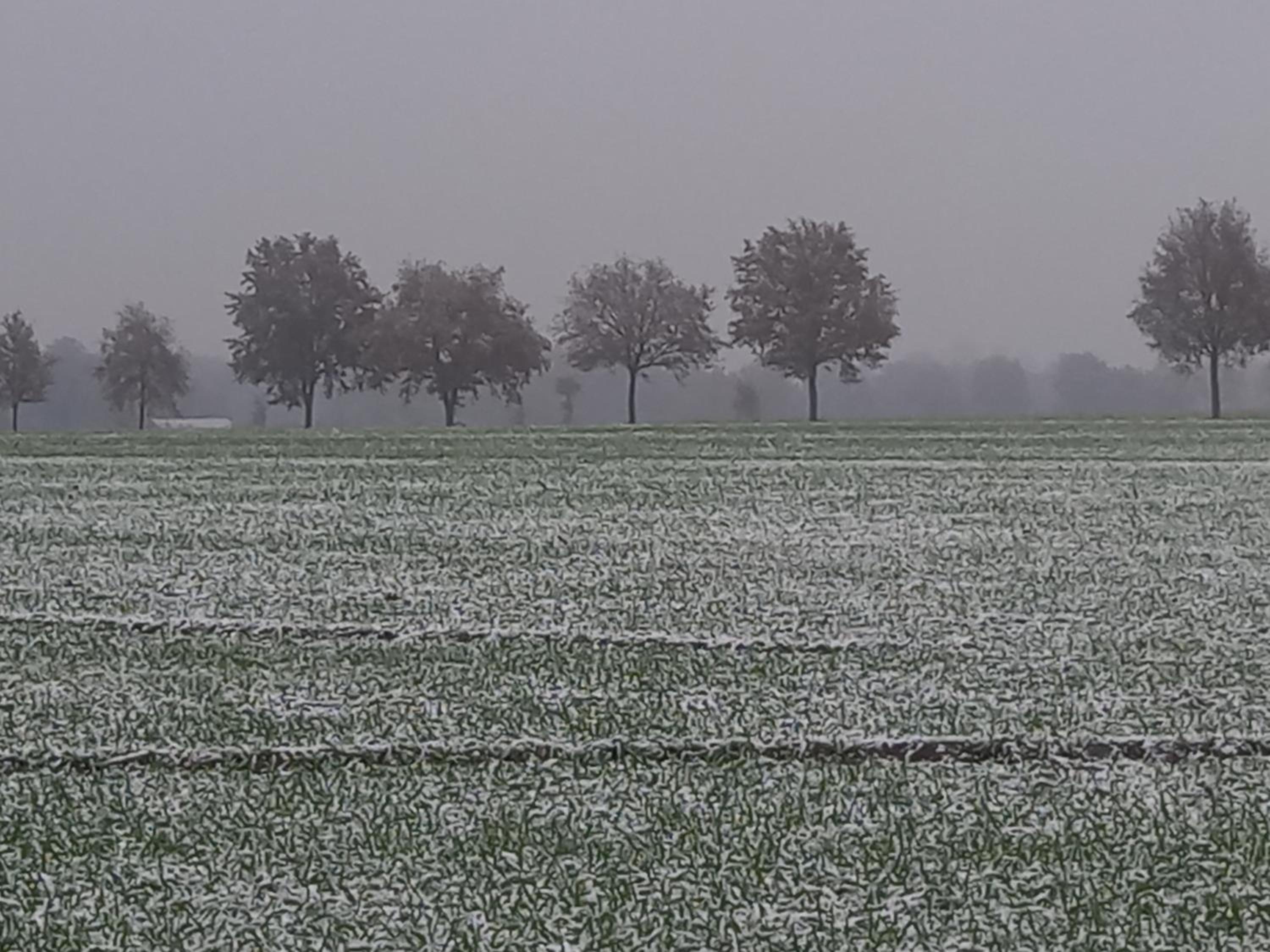 Landidylle mit Garten, Whirlpool und Klima