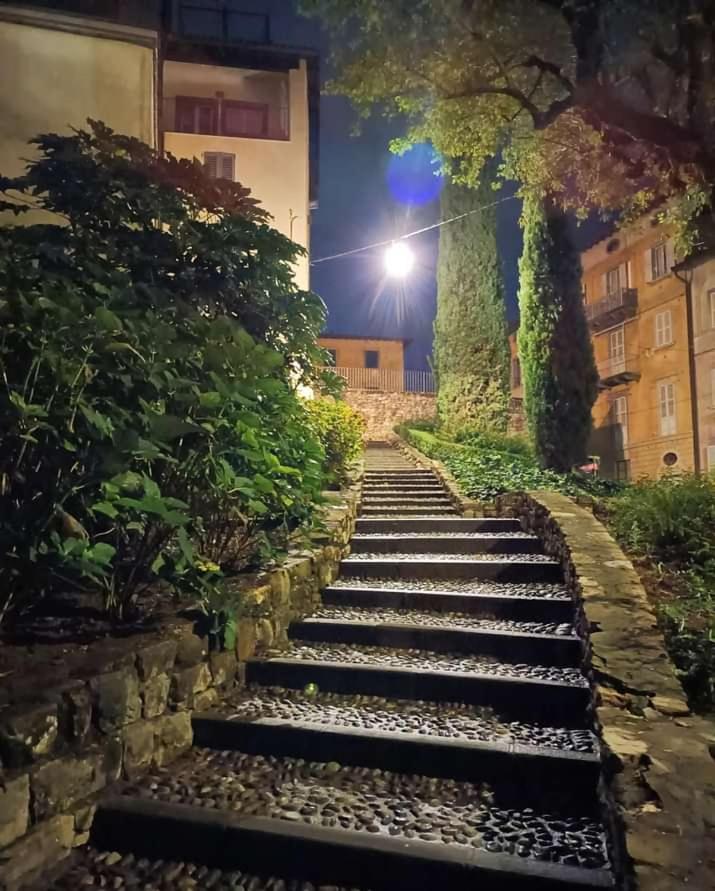 Photo 36