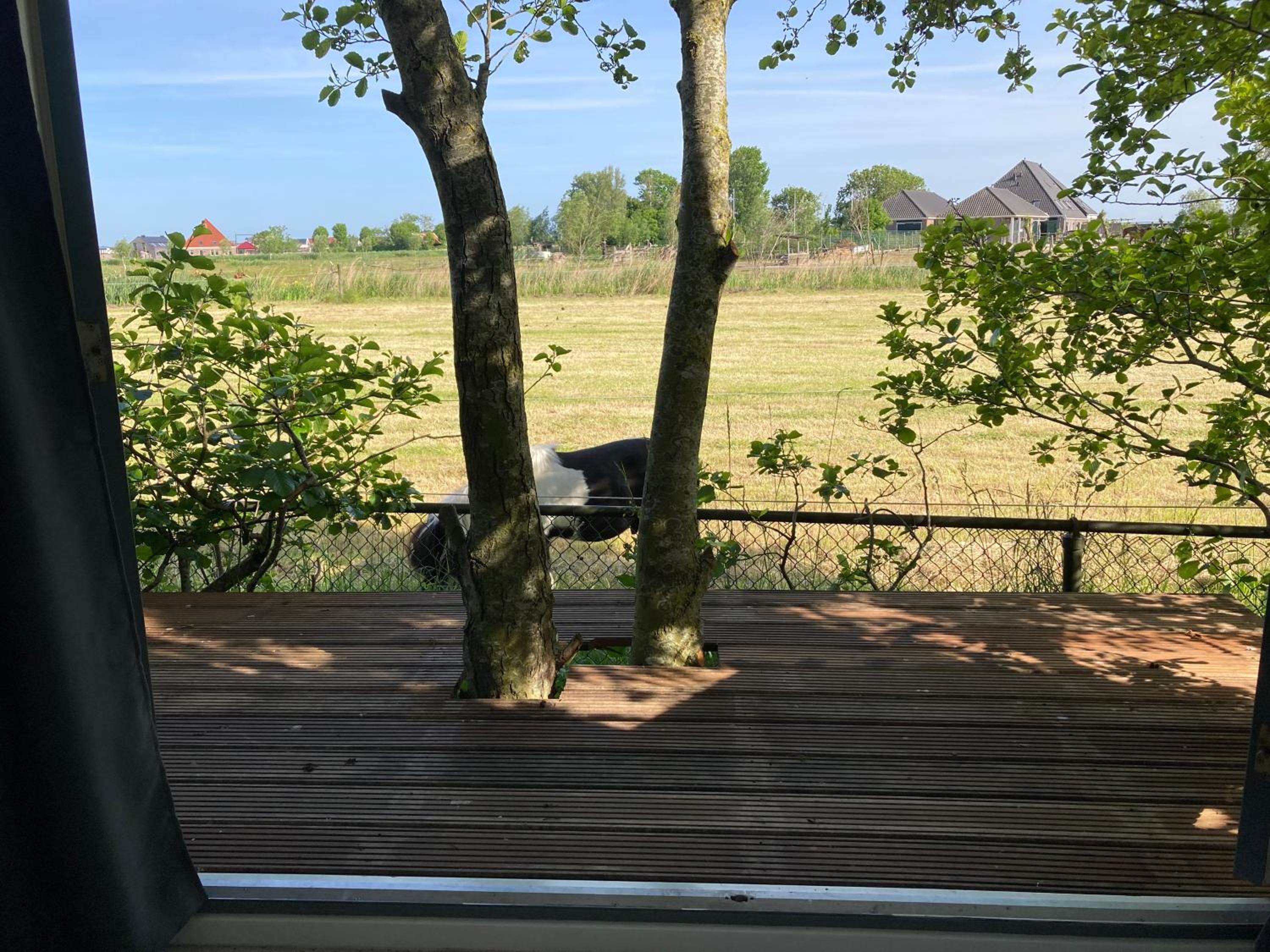 Het oude strandhuis view 3