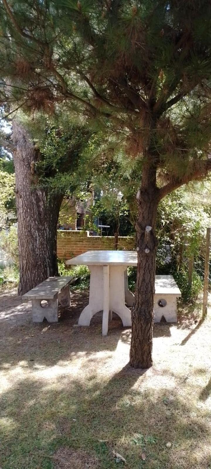 valle encantado