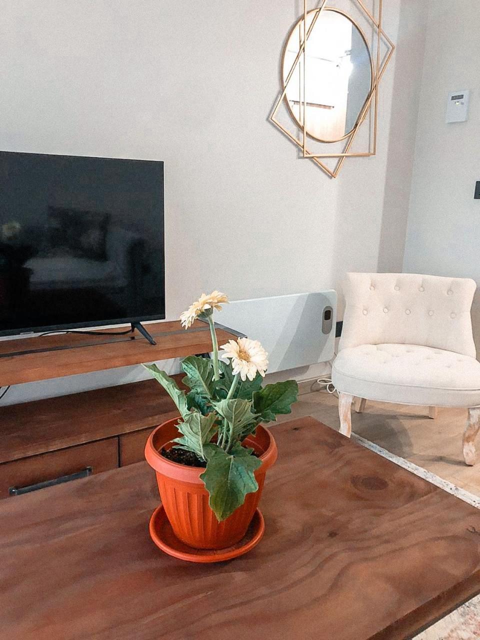 ¡Cómodo y excelente ubicación!