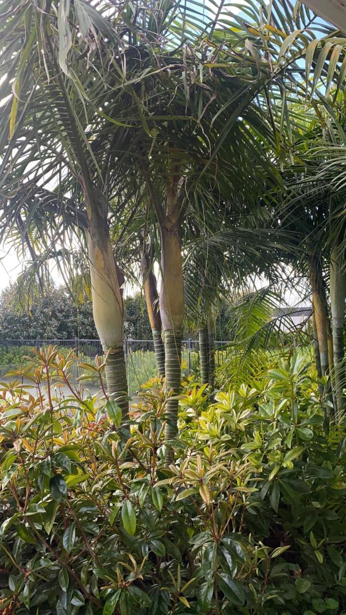 Te Whare Ma view 3