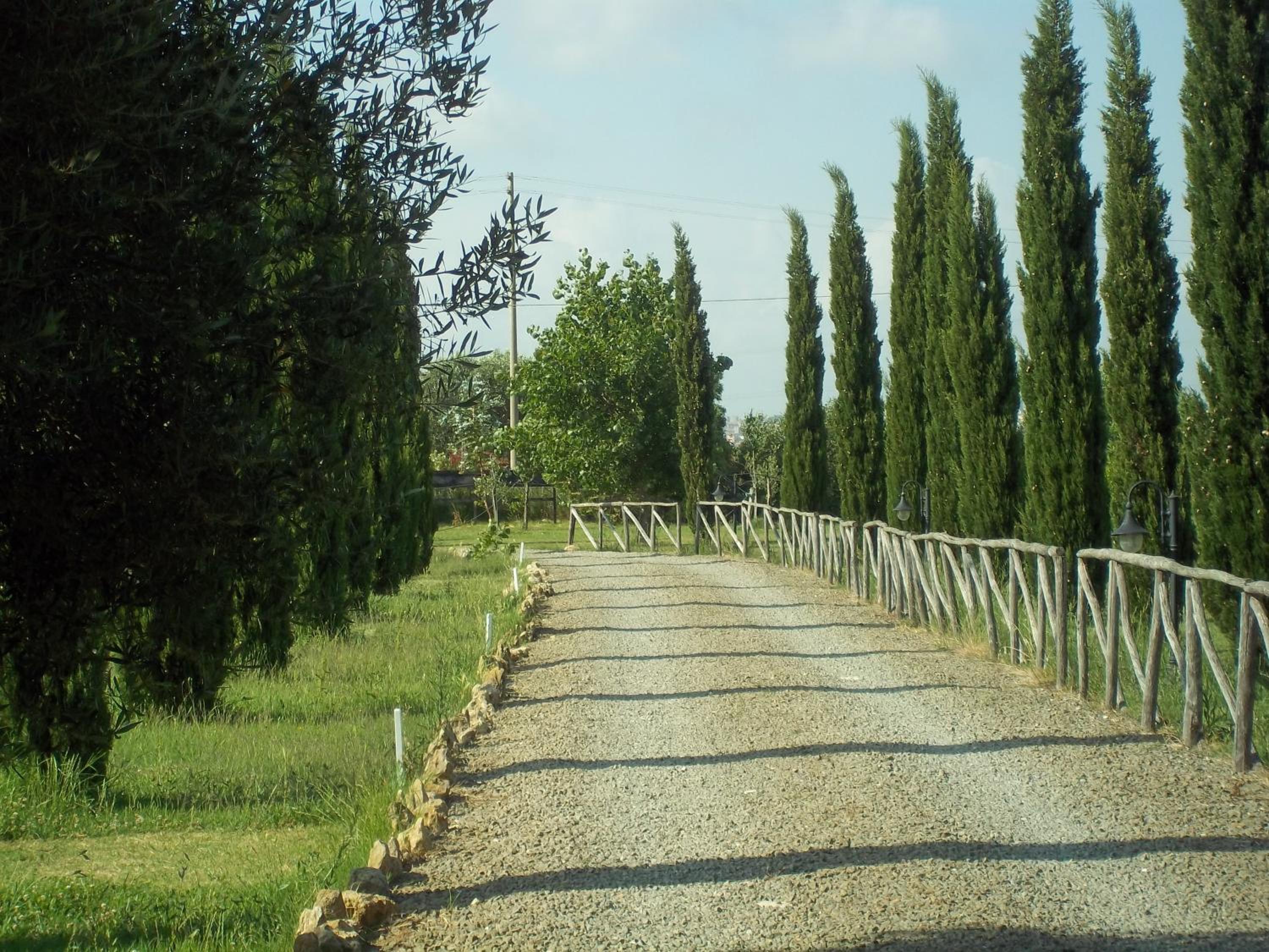 Agriturismo Lupo Cerrino