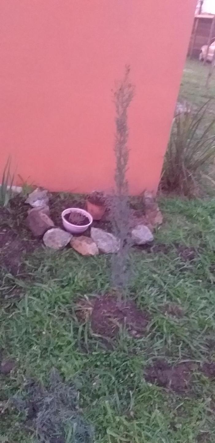 Rincón del Sol