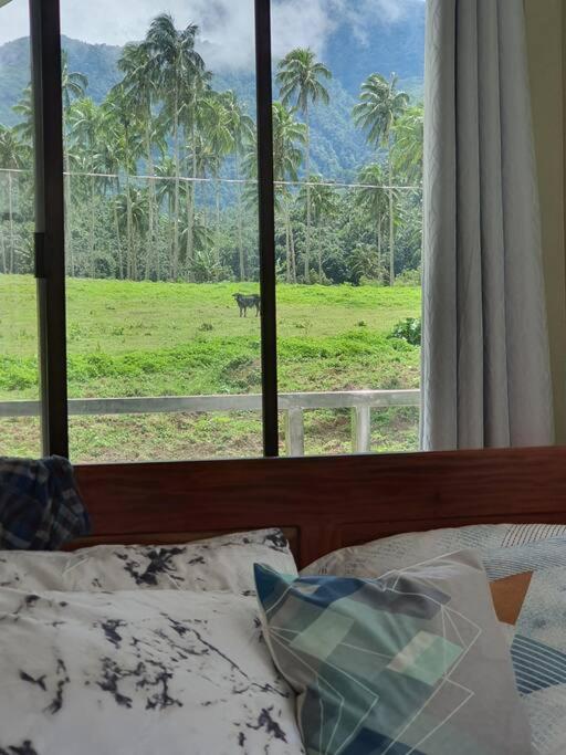 The Glass house view 3
