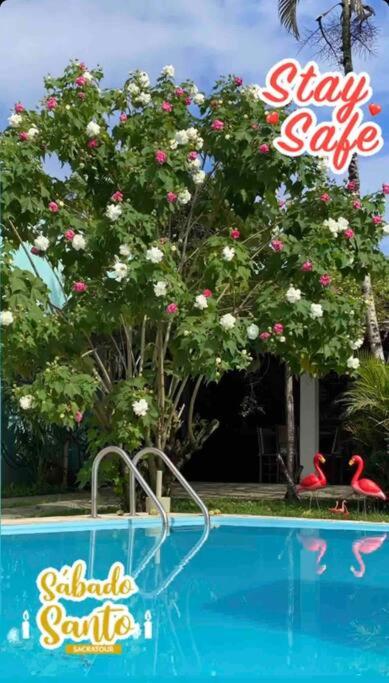 Chalé Flamingo com Piscina Casa inteira em Morretes