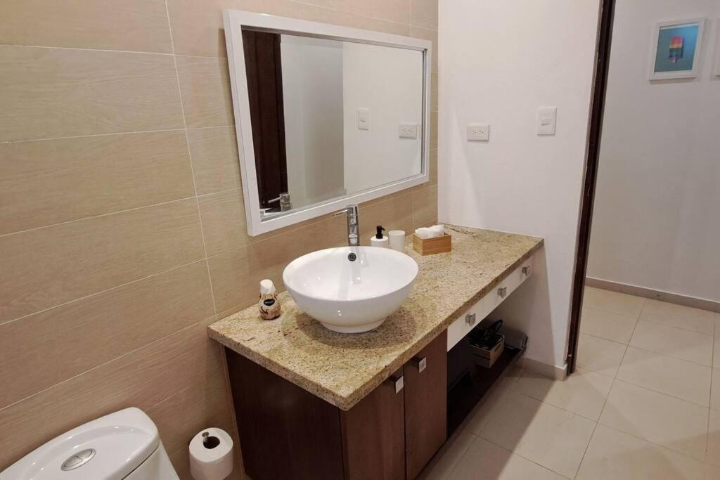 Deluxe villa with jacuzzi and beautiful garden