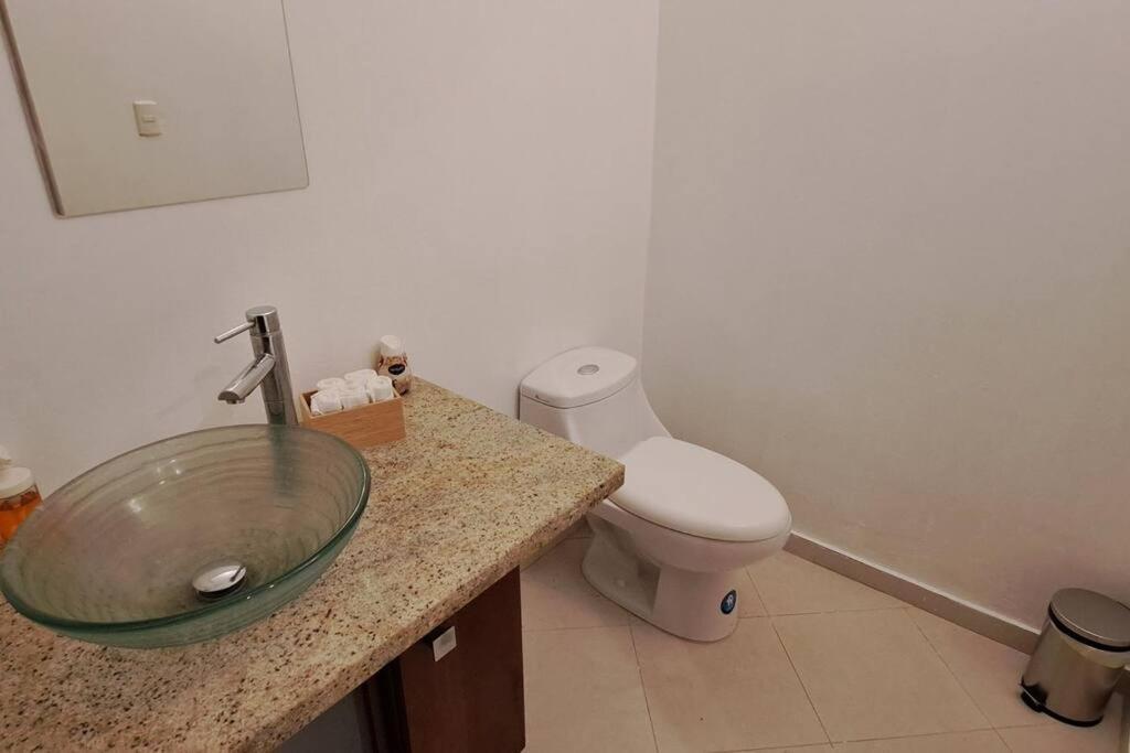 Deluxe villa with jacuzzi and beautiful garden