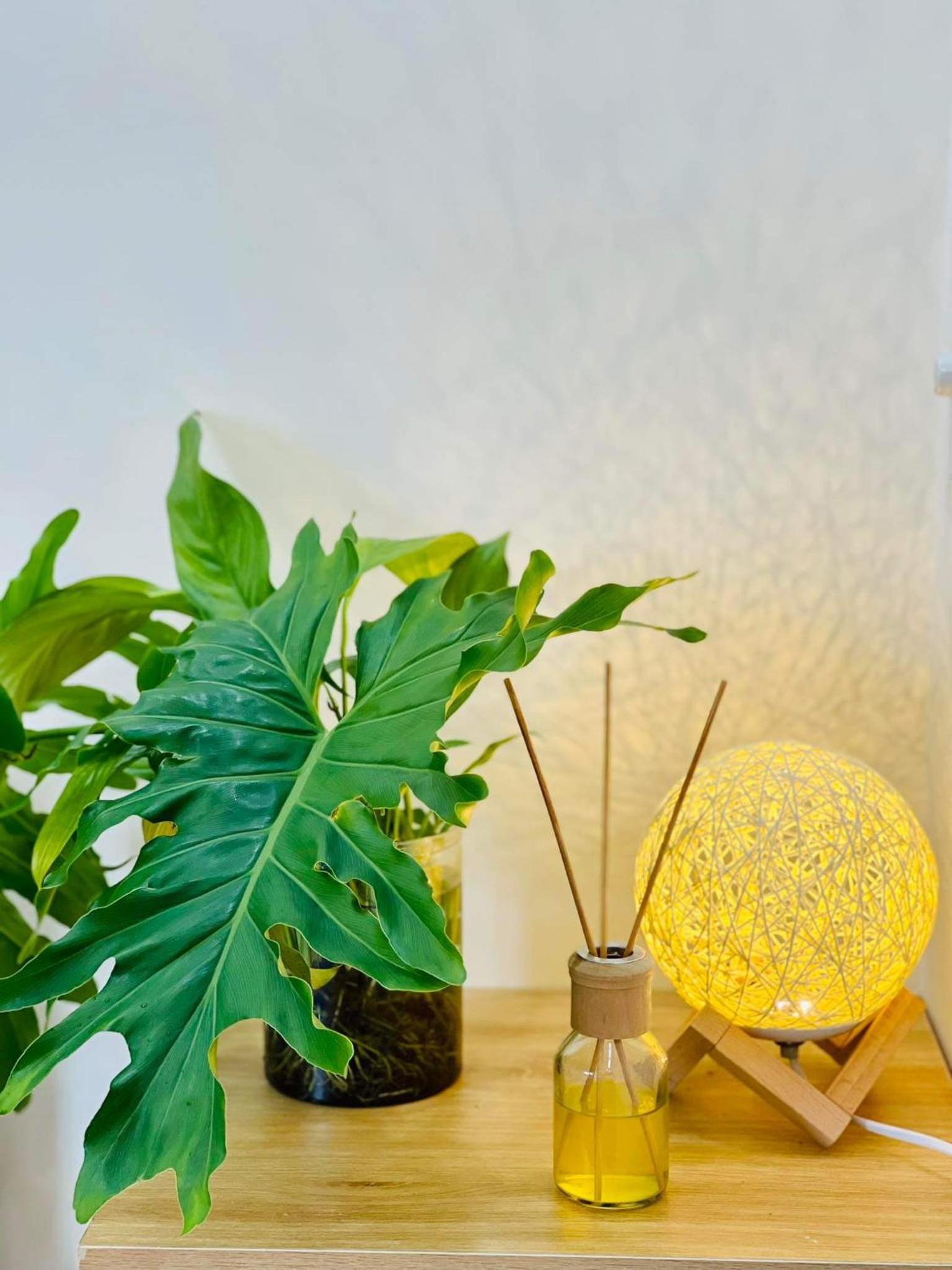 Ule Home Trường Sa