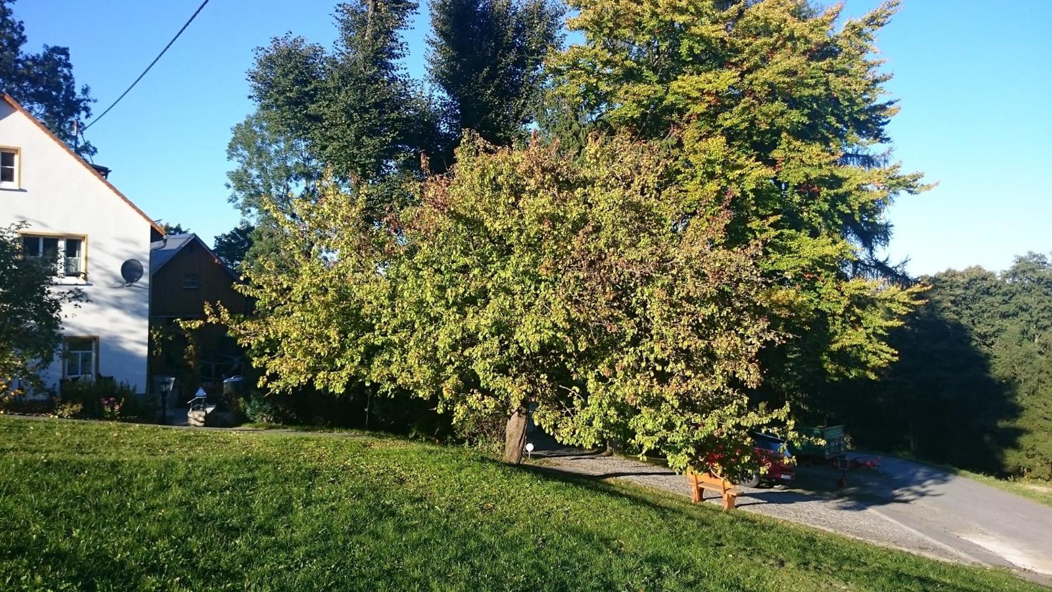 Photo 31