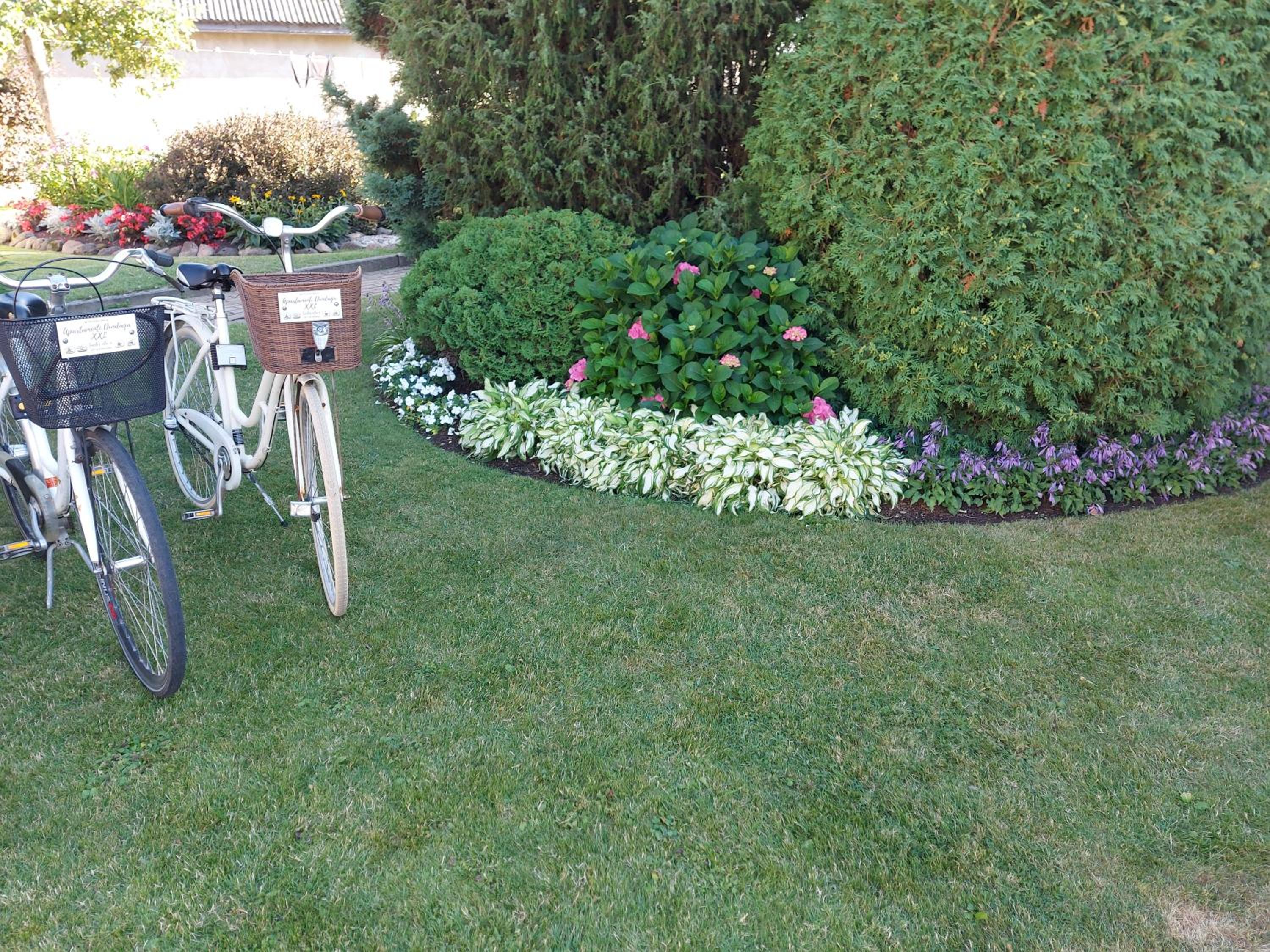 Photo 31