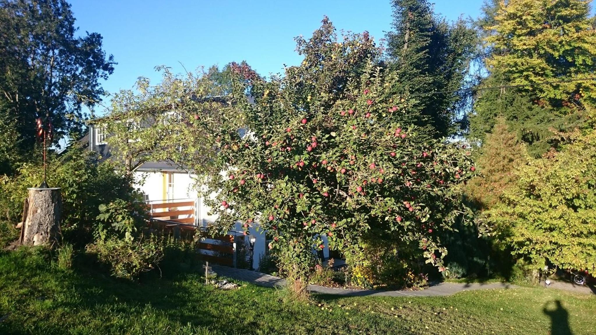 Photo 32