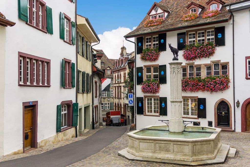 Beautiful Villa in the Heart of Basel