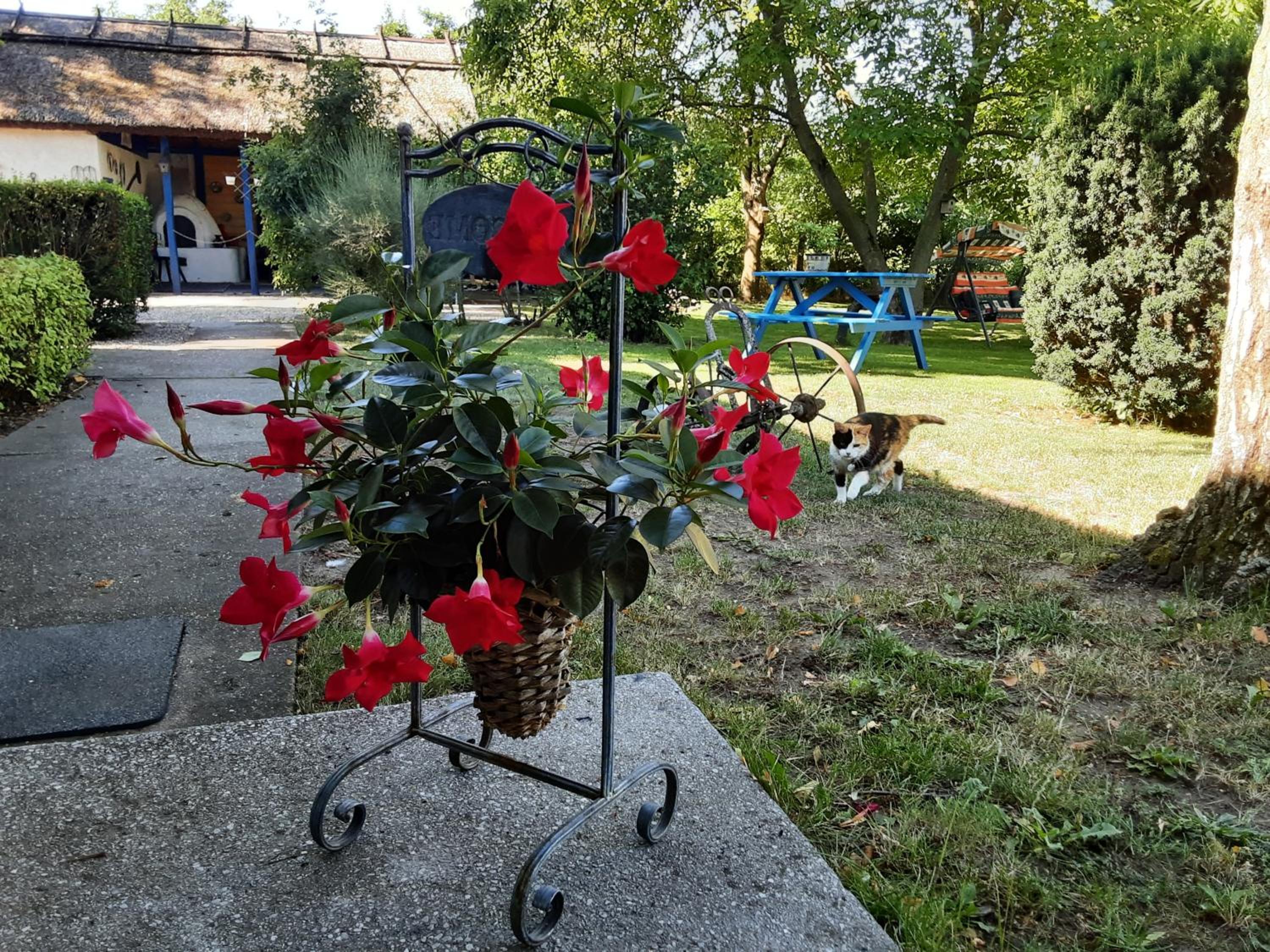 Photo 22